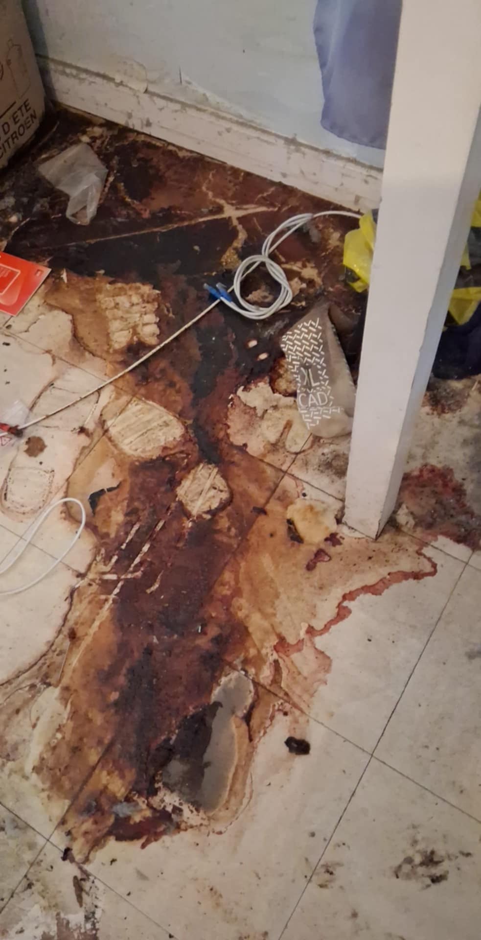 Comment se déroule le tri quand la famille souhaite vérifier chaque objet : le rôle de SOS DC à Calais whatsapp image 2025 04 17 à 15.46.17 4b3920f9