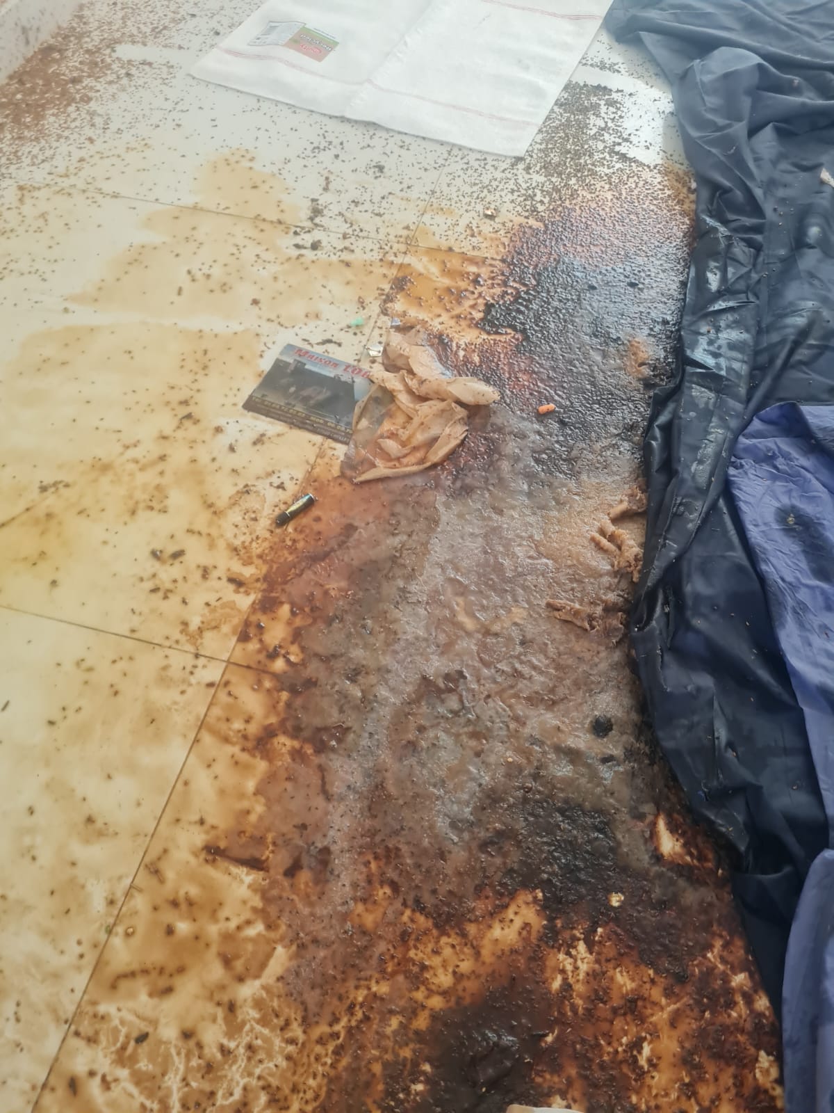 Que faire si l’odeur reste concentrée dans une seule pièce après nettoyage ? SOS DC à Calais et dans les environs vous guide whatsapp image 2025 04 18 à 17.15.45 1a9338eb